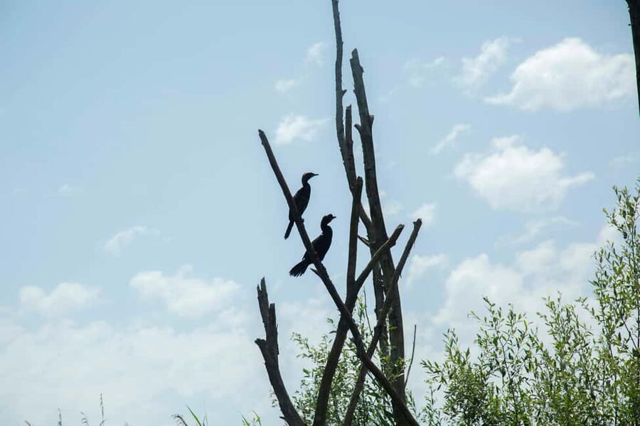 Virpazar: Historical & Nature Boat Adventure on Lake Skadar - Grmožur Island and Montenegro’s Alcatraz