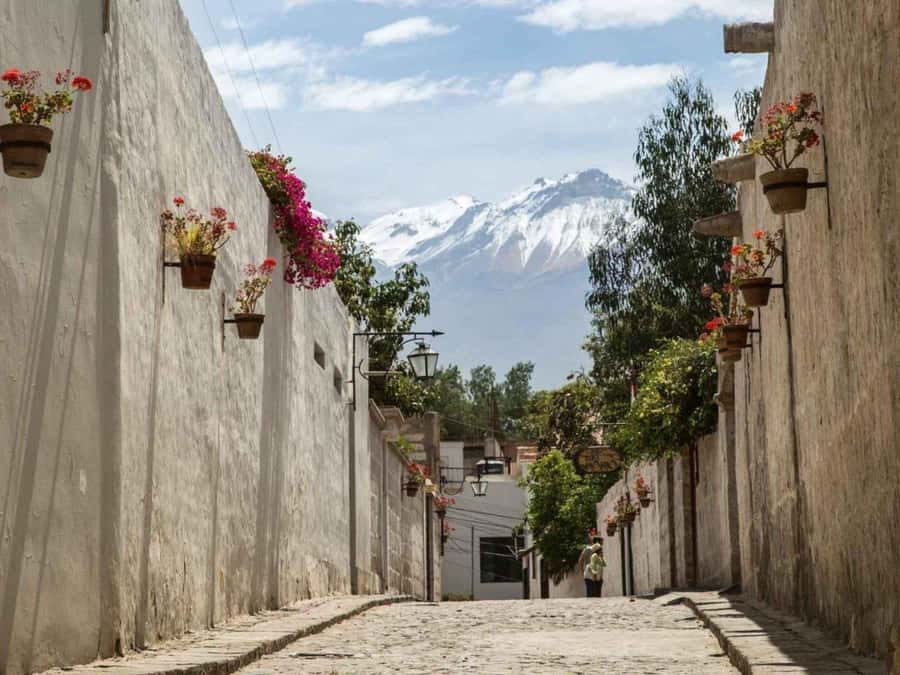 Walking tour in the Historic Center of Arequipa - Mundo Alpaca and Arequipa’s camelid traditions