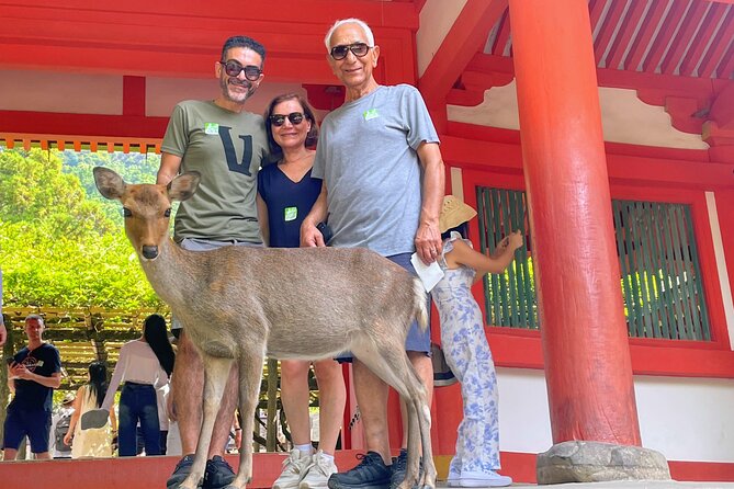 World Heritage Kyoto & Nara Uji Authentic Matcha Experience - Meeting Nara’s deer in Nara Park
